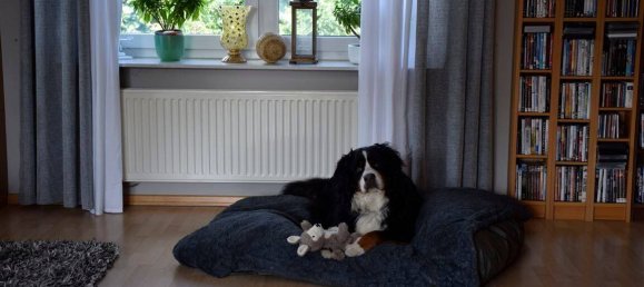 5 rooms Building in Cuxhaven, Germany No. 312614 20