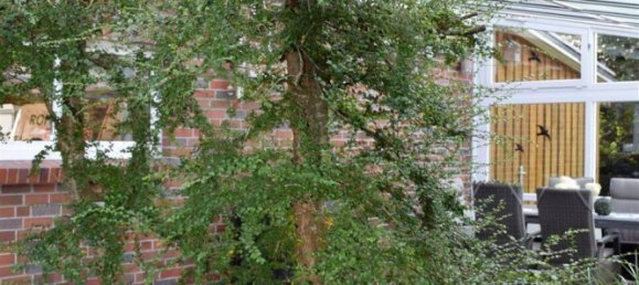 5 rooms Building in Cuxhaven, Germany No. 312614 30