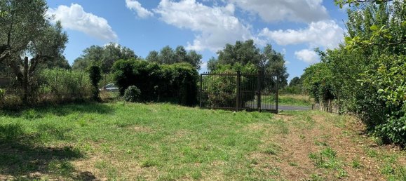 3 rooms Villa in Marta, Italy No. 303790 5