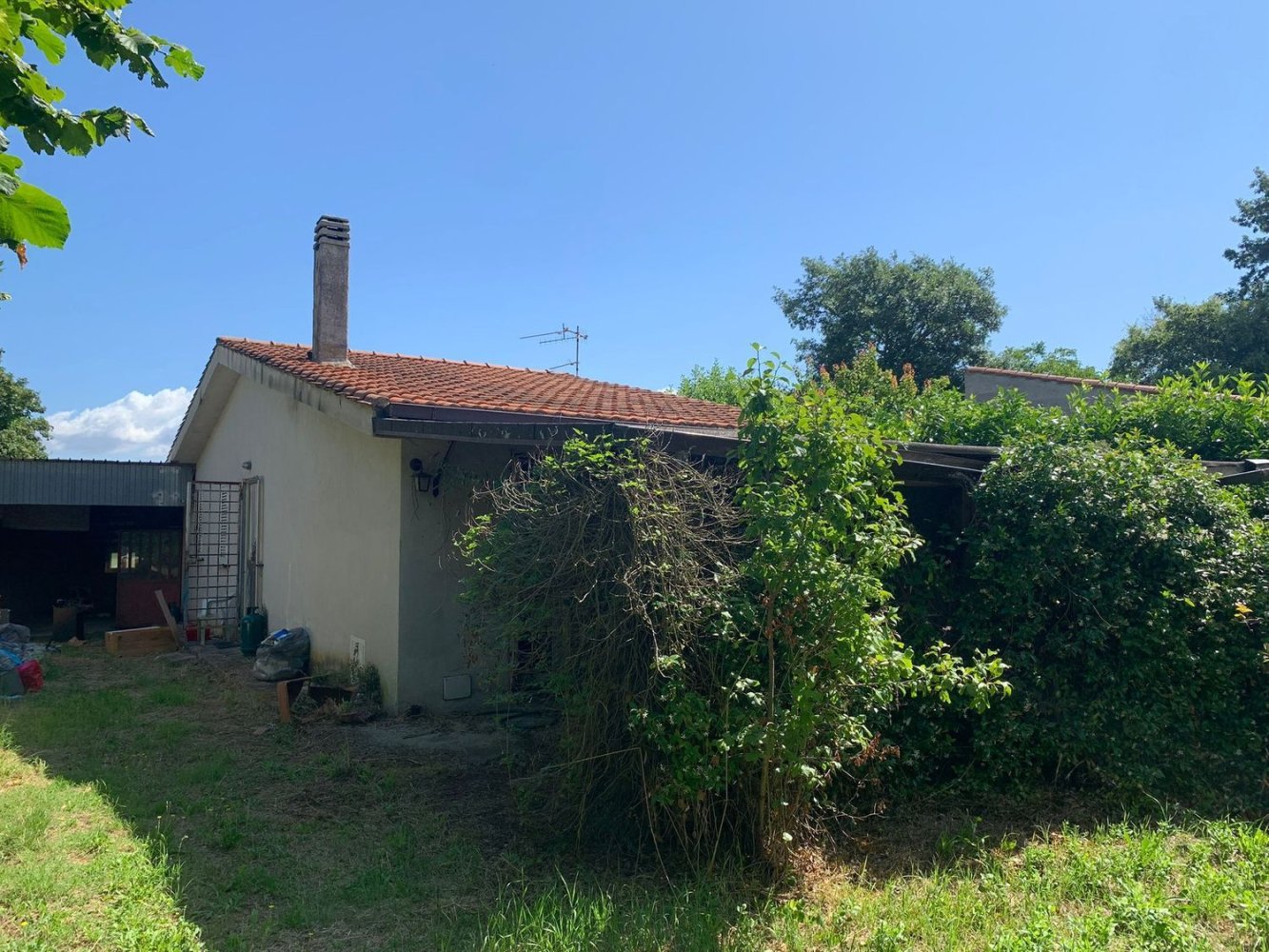 3 rooms Villa in Marta, Italy No. 303790