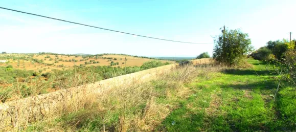 7 Schlafzimmer Schlösser in Cabeco de Vide, Portugal, Nr. 266068 48
