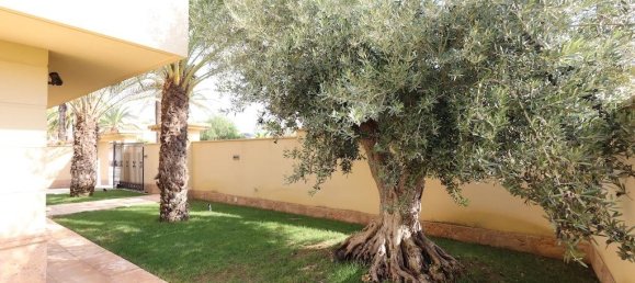 Apartamento T4 em Cabo Roig, Spain N.º 365696 9
