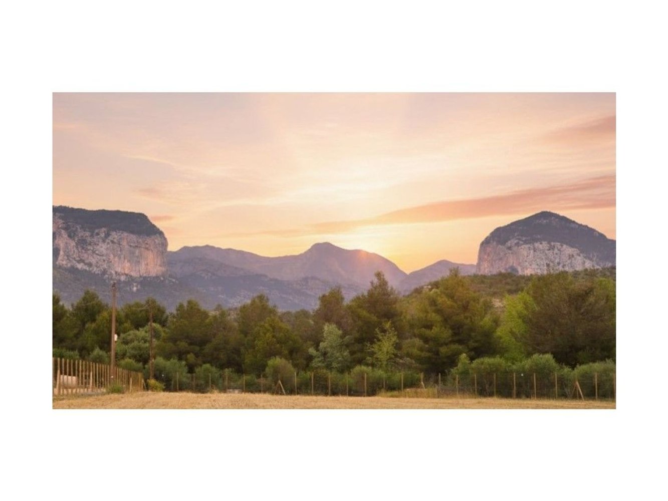  Land in Alaro, Spain No. 249008