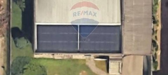 Gewerbliche Immobilie in Samarate, Italy 400m², Nr. 58555 25