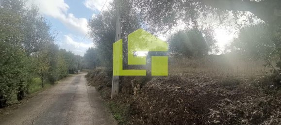 Terreno en Podentes, Portugal 1512 m² No. 68577 14