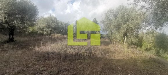 Terreno en Podentes, Portugal 1512 m² No. 68577 15