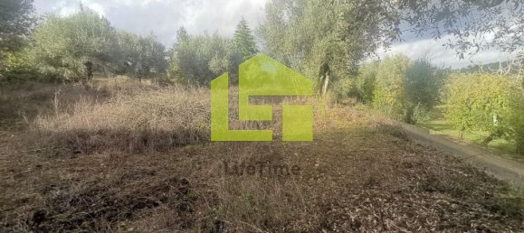 Terreno en Podentes, Portugal 1512 m² No. 68577 16
