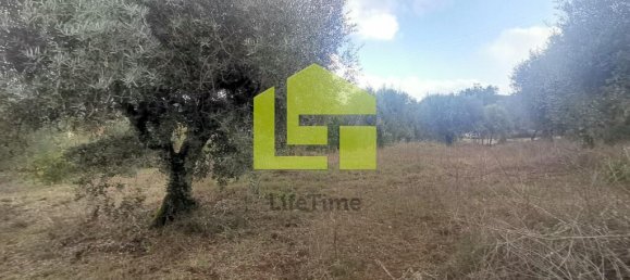 Terreno en Podentes, Portugal 1512 m² No. 68577 9