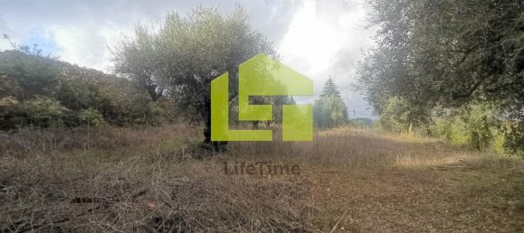 Terreno en Podentes, Portugal 1512 m² No. 68577 21