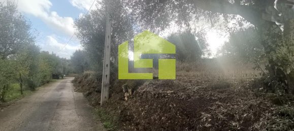 Terreno en Podentes, Portugal 1512 m² No. 68577 22
