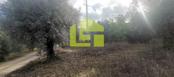 Terreno en Podentes, Portugal 1512 m² No. 68577 17