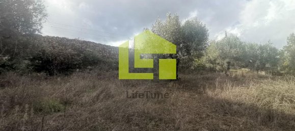 Terreno en Podentes, Portugal 1512 m² No. 68577 18