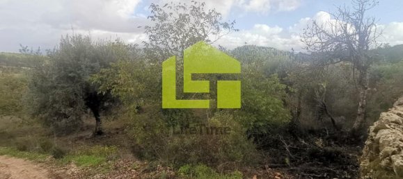 Terreno en Podentes, Portugal 1512 m² No. 68577 7