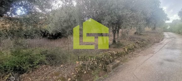 Terreno en Podentes, Portugal 1512 m² No. 68577 3