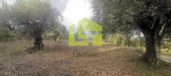 Terreno en Podentes, Portugal 1512 m² No. 68577 20