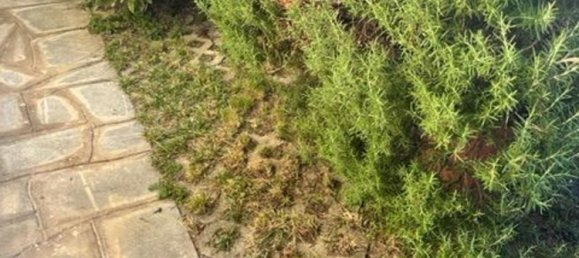 Casa de 4 divisões em Montignoso, Italy N.º 109933 5