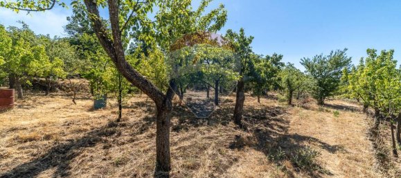 1غرفة قطعة أرض في Biancavilla, Italy رقم 166472 9