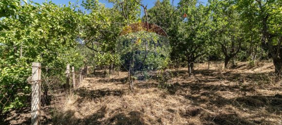 1غرفة قطعة أرض في Biancavilla, Italy رقم 166472 21