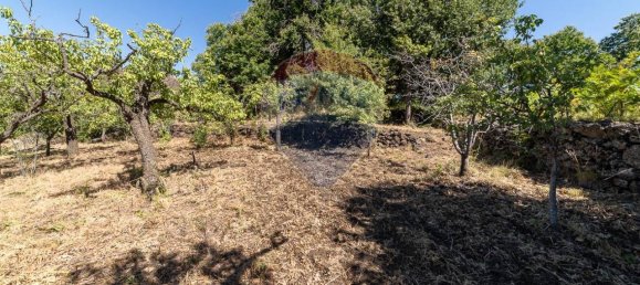 1غرفة قطعة أرض في Biancavilla, Italy رقم 166472 7