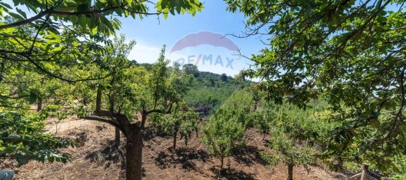 1غرفة قطعة أرض في Biancavilla, Italy رقم 166472 26