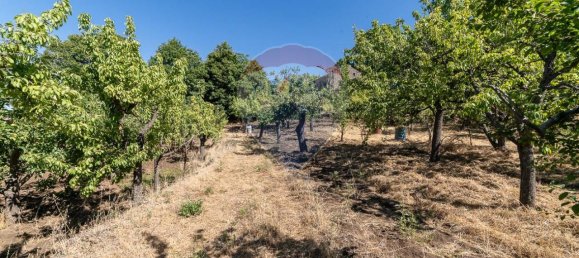 1غرفة قطعة أرض في Biancavilla, Italy رقم 166472 10