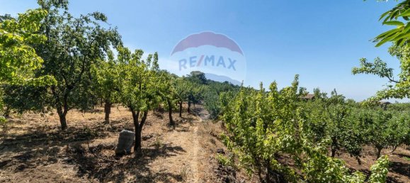 1غرفة قطعة أرض في Biancavilla, Italy رقم 166472 24