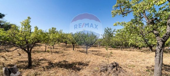 1غرفة قطعة أرض في Biancavilla, Italy رقم 166472 6