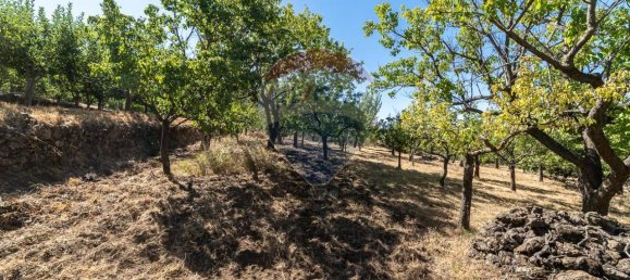 1غرفة قطعة أرض في Biancavilla, Italy رقم 166472 12