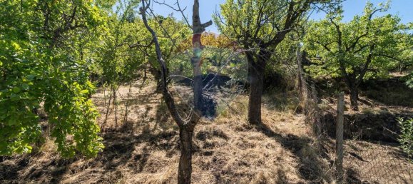 1غرفة قطعة أرض في Biancavilla, Italy رقم 166472 20