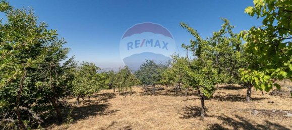 1غرفة قطعة أرض في Biancavilla, Italy رقم 166472 15