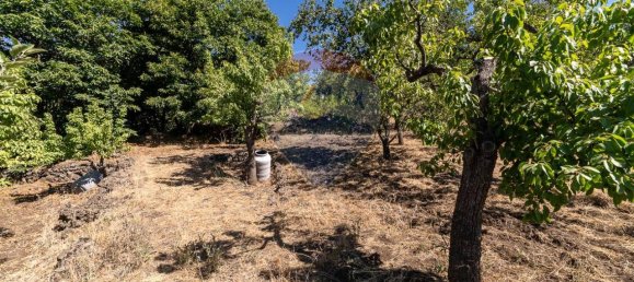 1غرفة قطعة أرض في Biancavilla, Italy رقم 166472 8