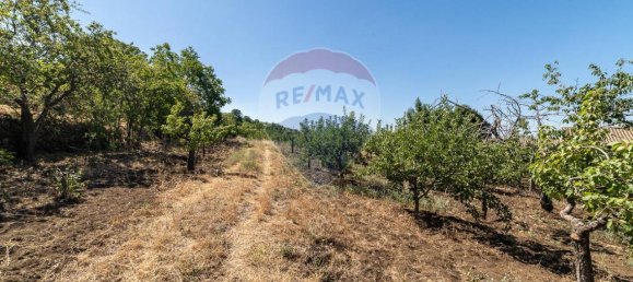 1غرفة قطعة أرض في Biancavilla, Italy رقم 166472 23