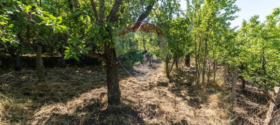 1غرفة قطعة أرض في Biancavilla, Italy رقم 166472 19