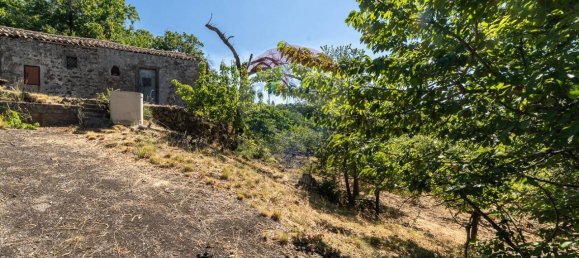 1غرفة قطعة أرض في Biancavilla, Italy رقم 166472 25