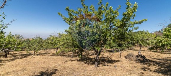 1غرفة قطعة أرض في Biancavilla, Italy رقم 166472 14