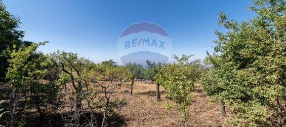 1غرفة قطعة أرض في Biancavilla, Italy رقم 166472 5