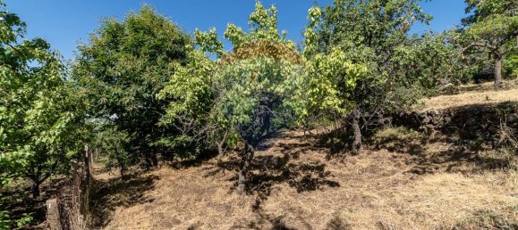 1غرفة قطعة أرض في Biancavilla, Italy رقم 166472 18