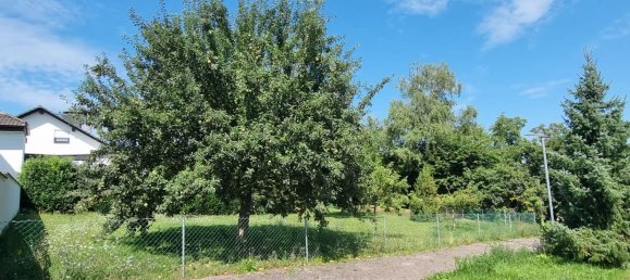 Land in Alzey-Worms, Germany No. 304400 3