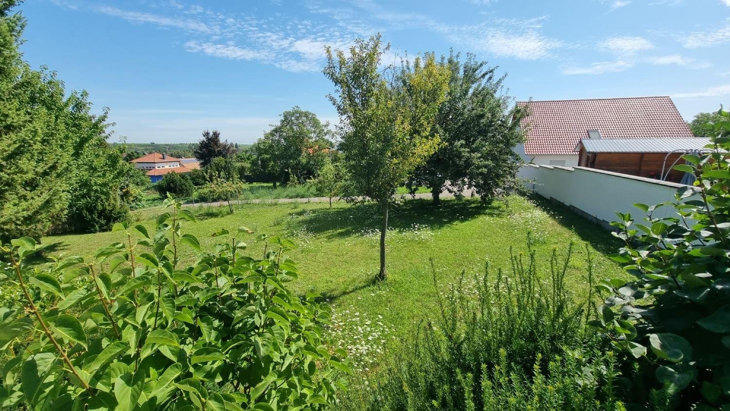  Land in Alzey-Worms, Germany No. 304400