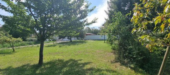 Land in Alzey-Worms, Germany No. 304400 4