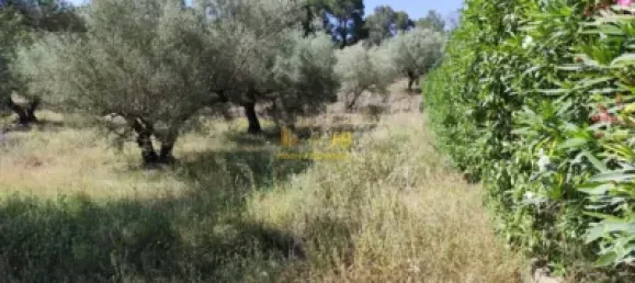 2868m² Land in Roquetes, Spain No. 165133 24