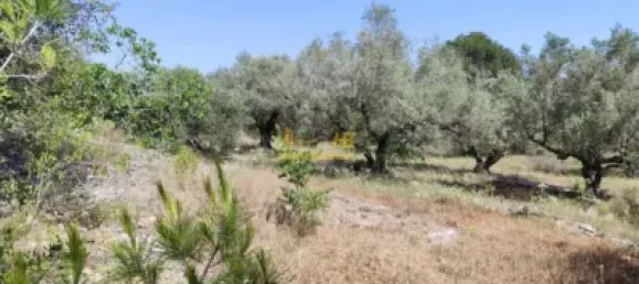 2868m² Land in Roquetes, Spain No. 165133 7