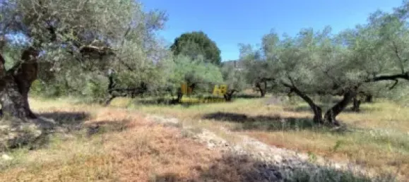 2868m² Land in Roquetes, Spain No. 165133 4