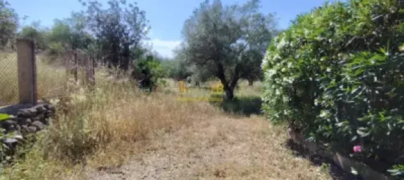 2868m² Land in Roquetes, Spain No. 165133 29