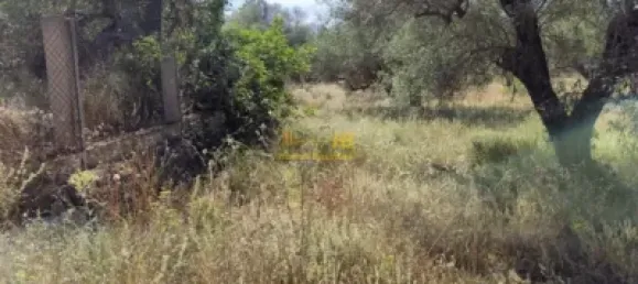 2868m² Land in Roquetes, Spain No. 165133 20