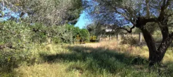 2868m² Land in Roquetes, Spain No. 165133 2