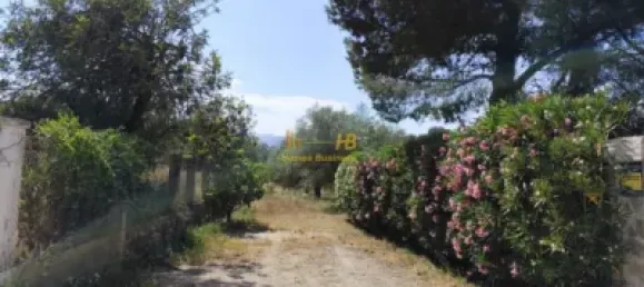 2868m² Land in Roquetes, Spain No. 165133 28