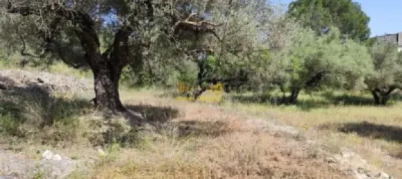 2868m² Land in Roquetes, Spain No. 165133 5