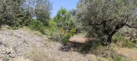 2868m² Land in Roquetes, Spain No. 165133 11