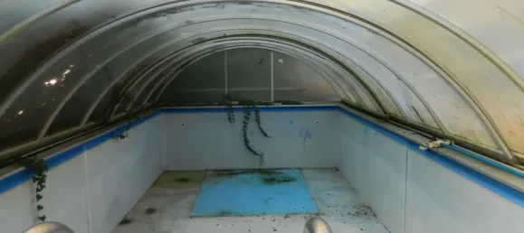 Бунгало с 3 спальнями в Крефельд, Германия № 90587 23